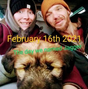 Meet your Posher, Dan